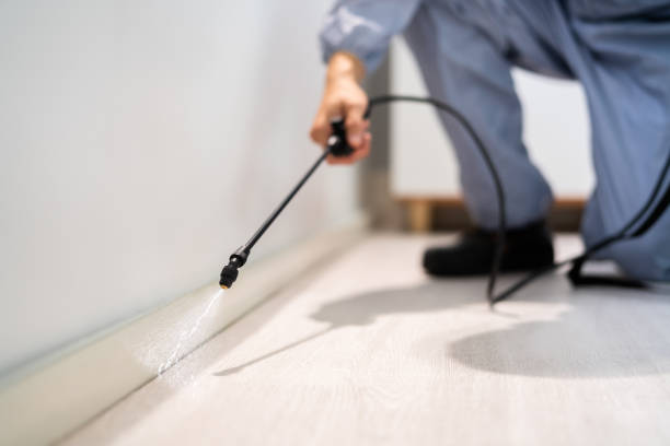 Licensed Pest Control service in Lancaster, SC - Show Me Pest Control
