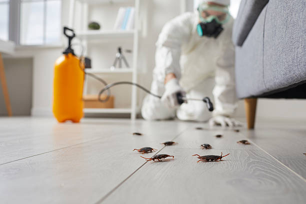Post-Treatment Bed Bug Interceptor Monitoring in Lancaster